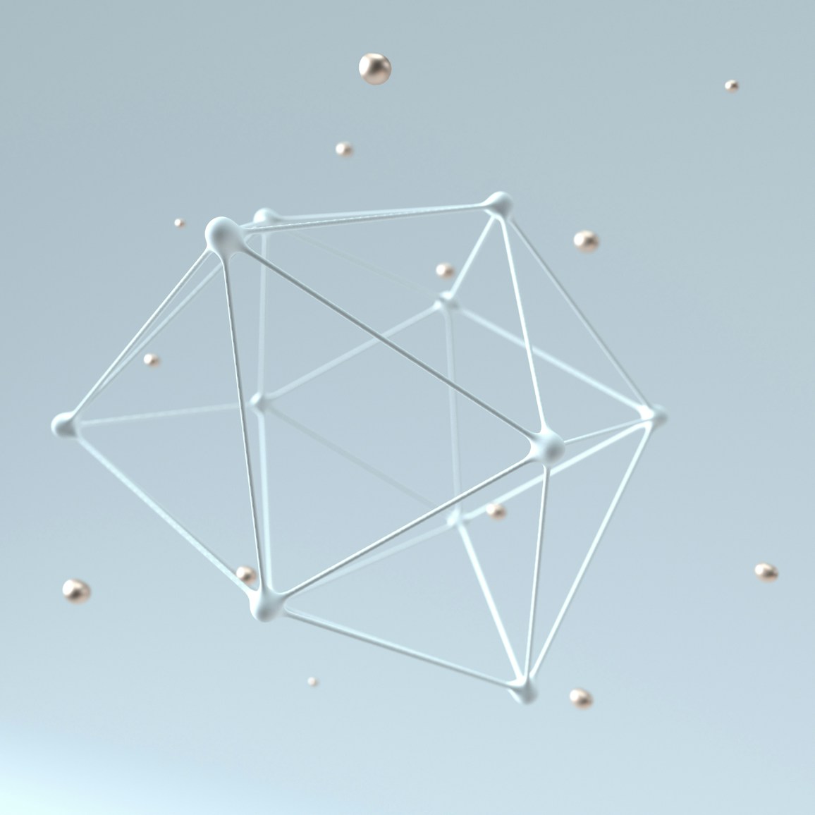 Founder network